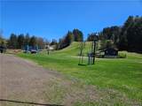 12 Plum Creek - Photo 38