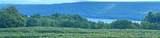 5720 State Route 21 Highway - Photo 1
