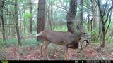 00 Wood Road - Photo 2