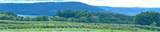 5720 State Route 21 Highway - Photo 2