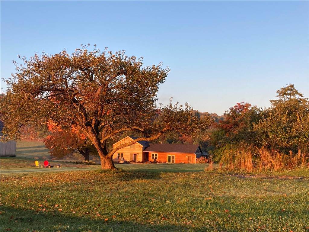 174 Fred Braun Road - Photo 1