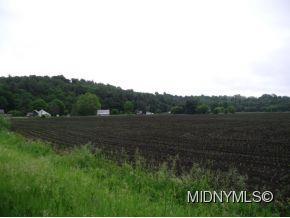 164 Shells Bush Road - Photo 1