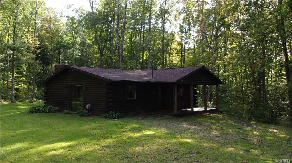 8009 County Road 49 Aka Pavel Rd - Photo 1