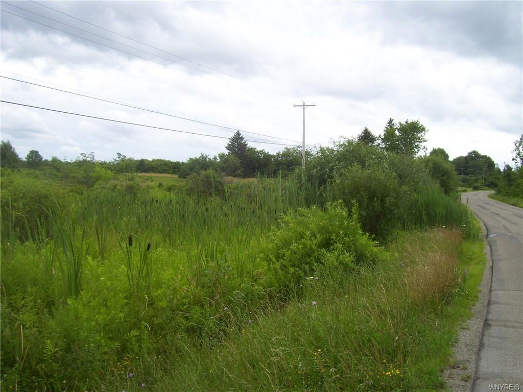 6+ acres Moore Road - Photo 1
