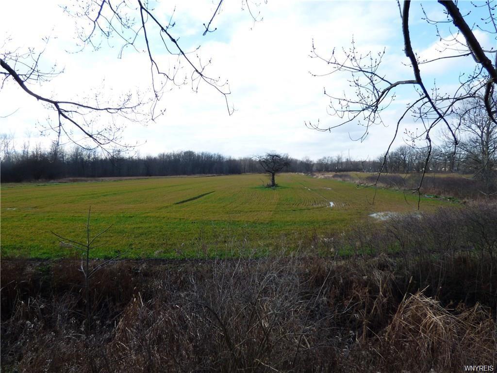 6762 Errick Road - Photo 1