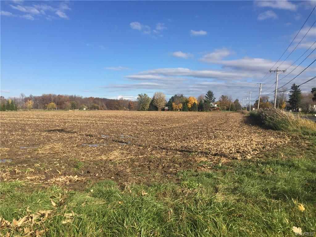 VL Mapleton Rd (Lot#2) - Photo 1