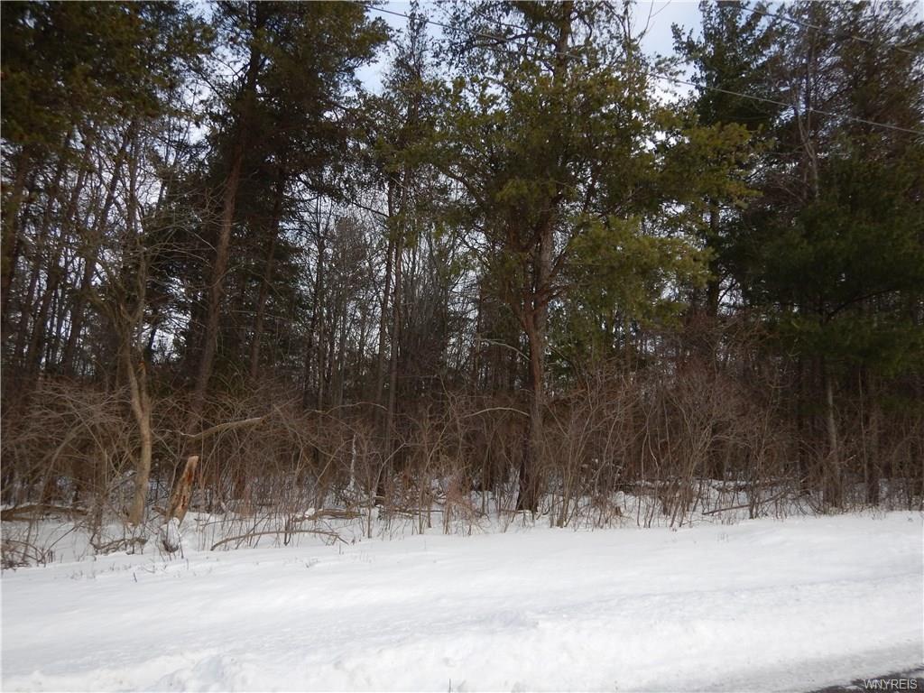 V/L Schoellkopf Road - Photo 1