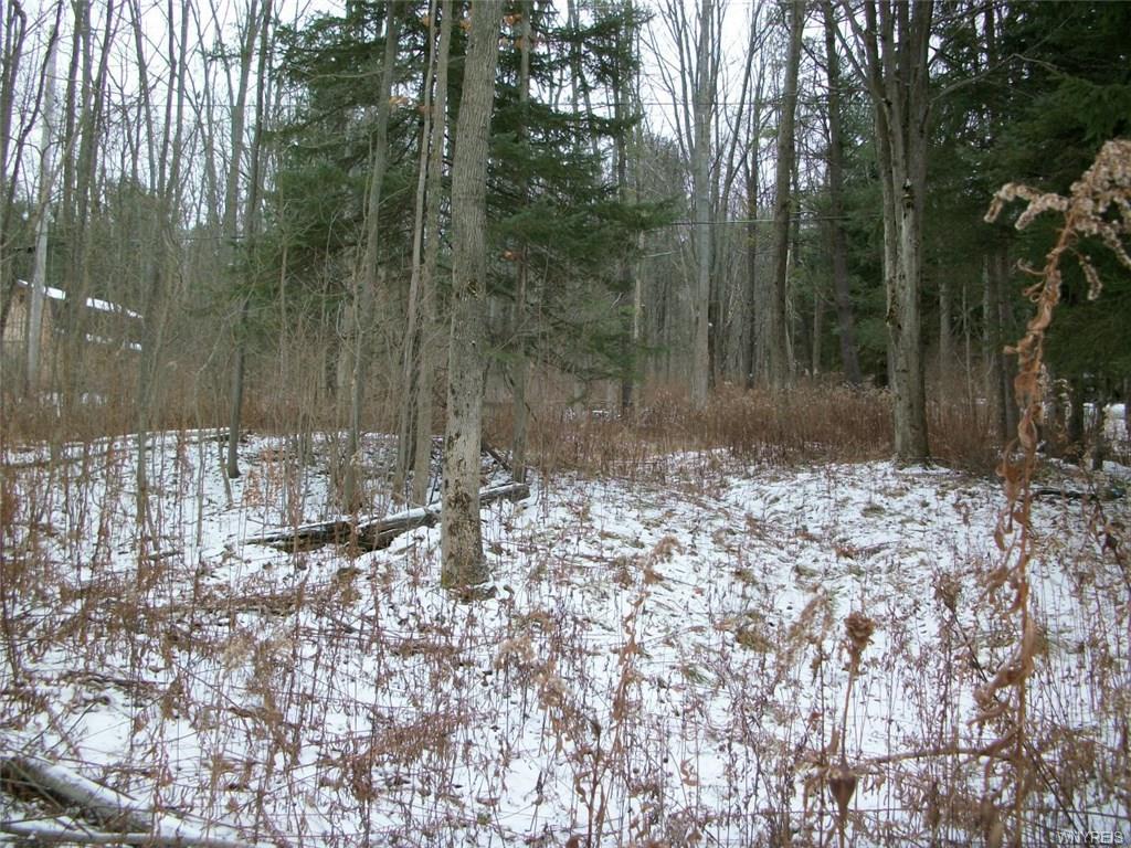 8672 County Road 49 - Photo 1