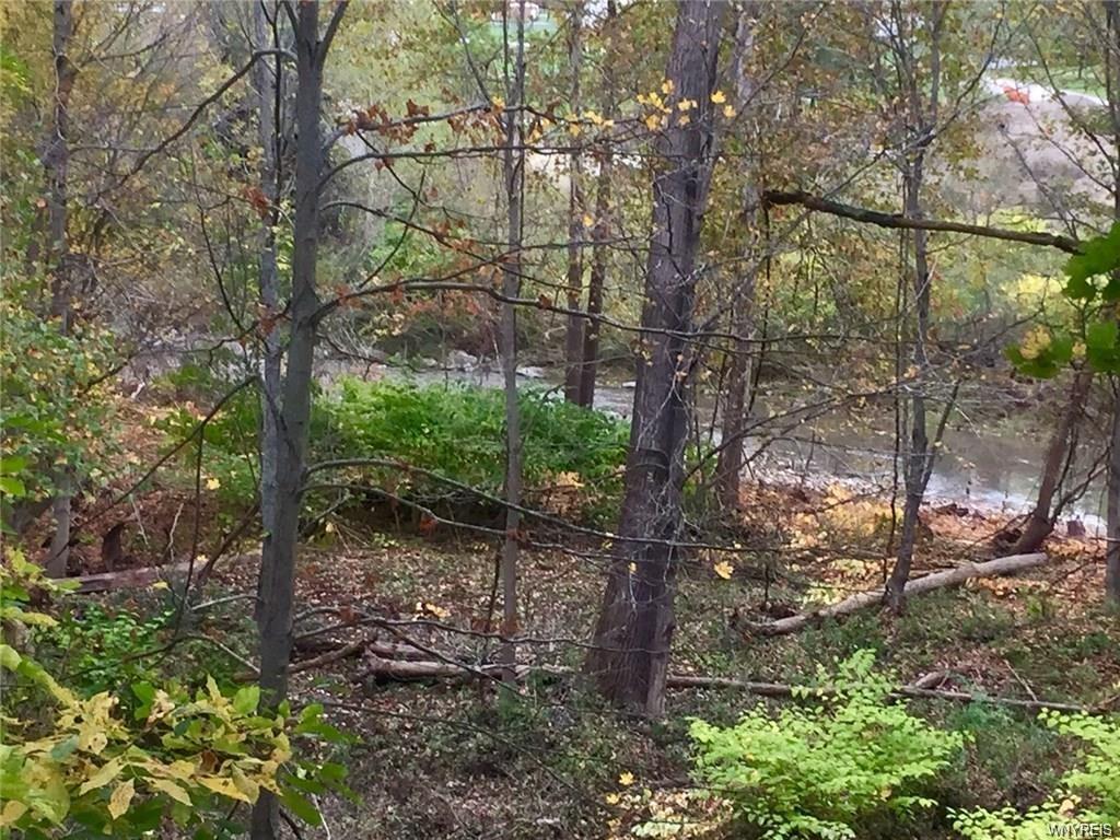 V/L Back Creek Road - Photo 1