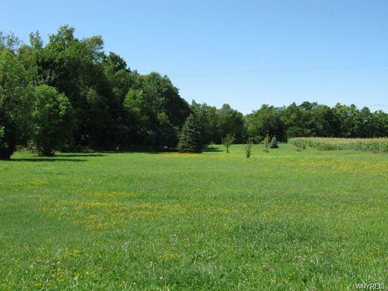 10306 Bethany Townline Road - Photo 1