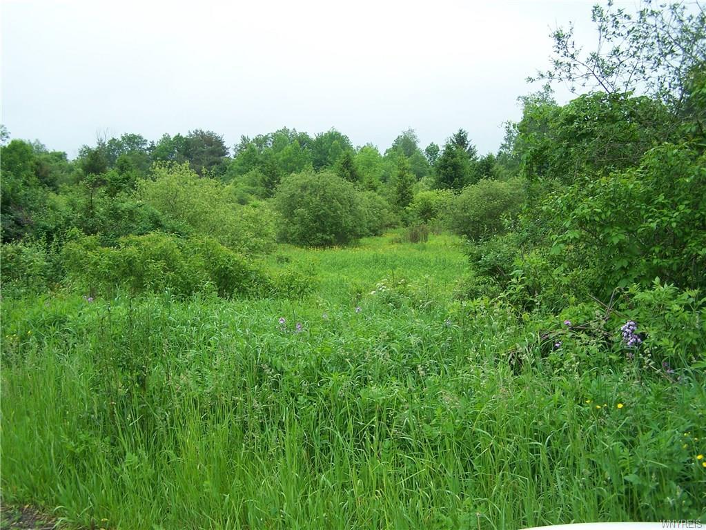 5 acres Center Line Road - Photo 1