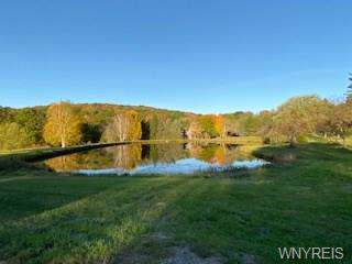 Lot A Dublin Meadows Road - Photo 1
