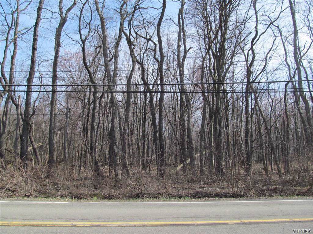 V/L Lake Shore Road - Photo 1