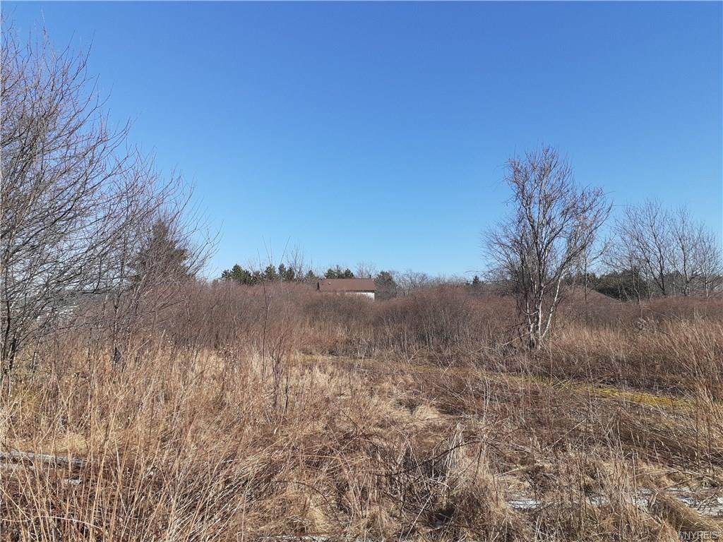 2924 Lower Mountain Road - Photo 1