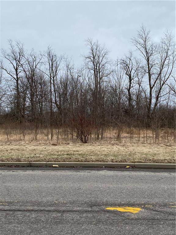 V/L Cayuga Drive Extension - Photo 1