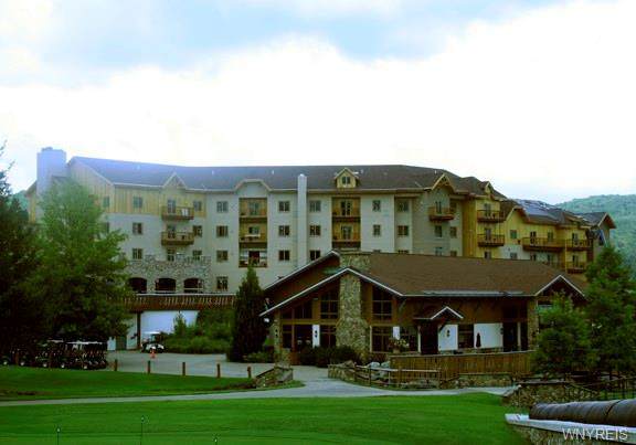 6557 Holiday Valley Road - Photo 1