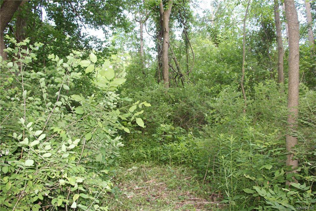 10425 Cedar Road - Photo 1