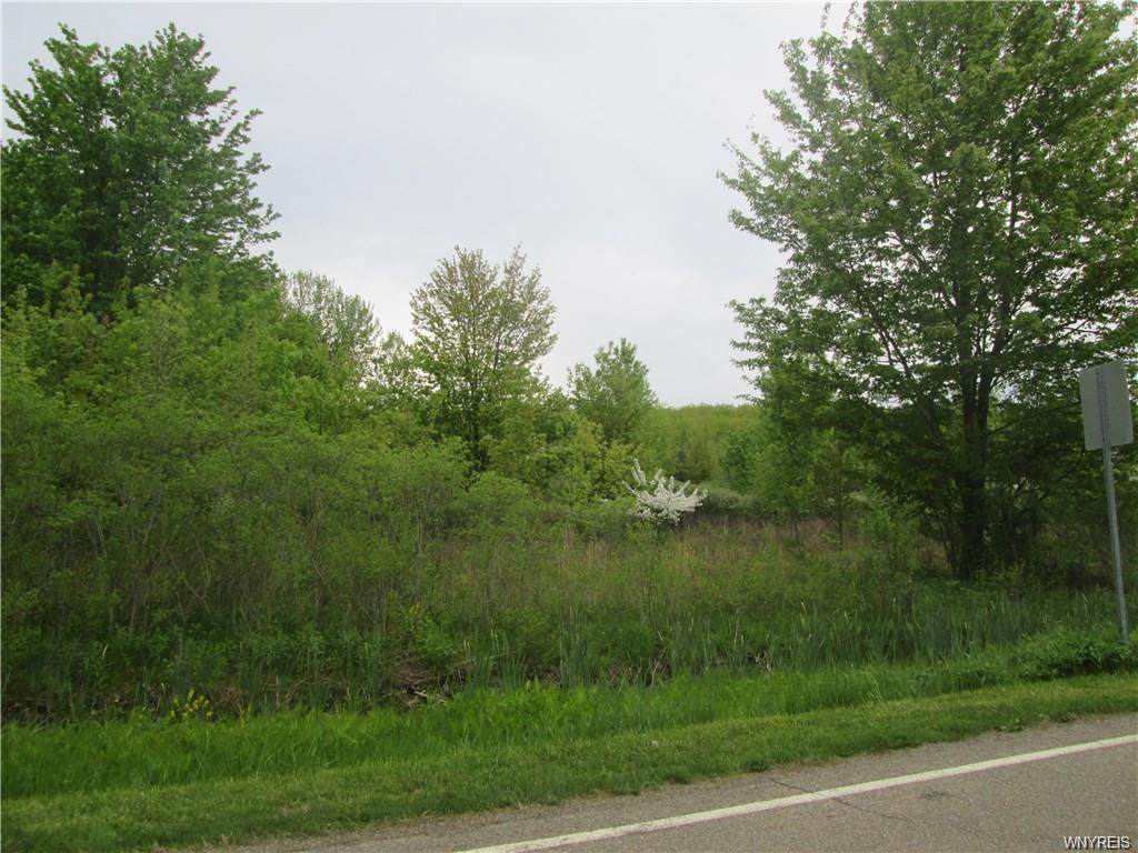 VL Versailles Road - Photo 1