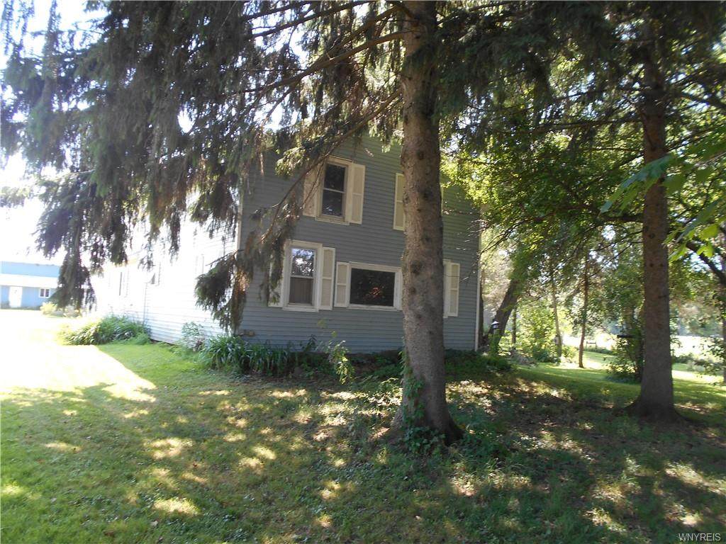 9028 Otto Springville Road - Photo 1