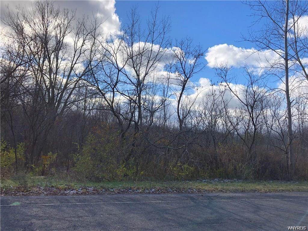 0 Webster Road - Photo 1