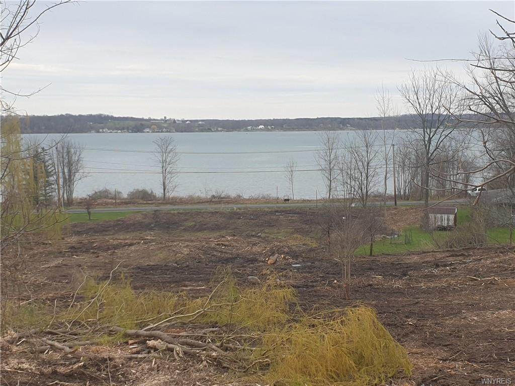0 Lower Lake Road - Photo 1