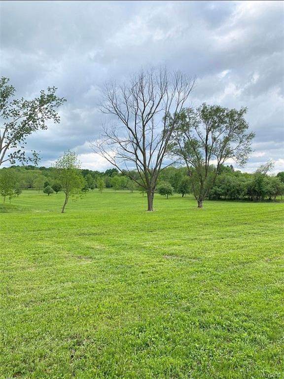 10200 Perry Rd. - Photo 1