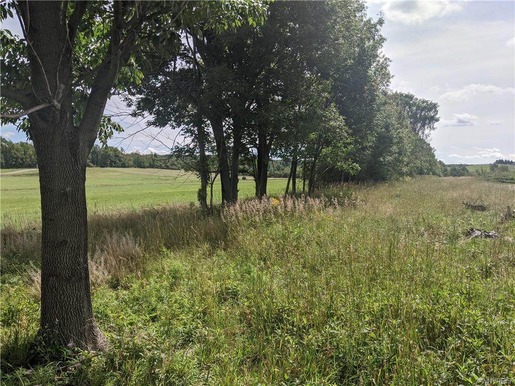 2.5 Acres Emery Rd - Photo 1