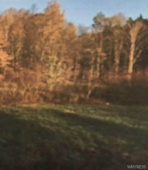 7640 Jersey Hollow Road - Photo 1