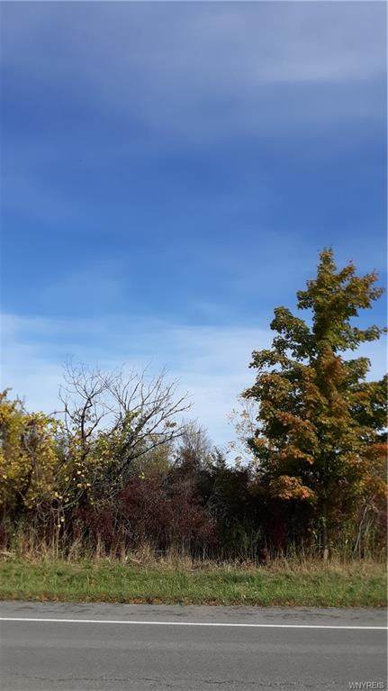 V/L 3 Lockport Road - Photo 1