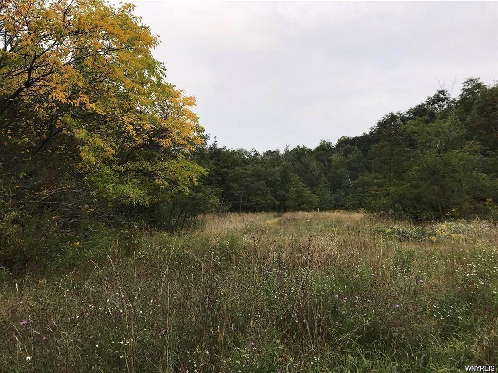 9041 Gowanda State Road - Photo 1