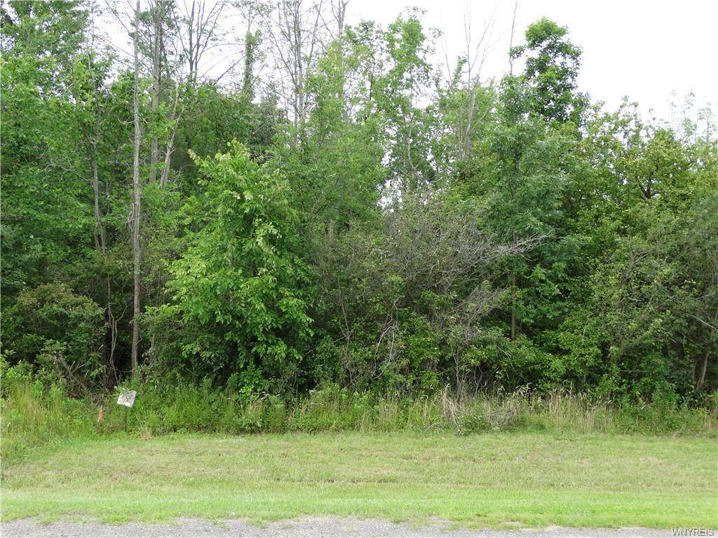 V/L 8823 Seaman Road - Photo 1