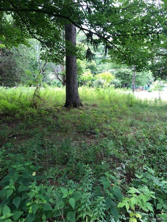 1532 Olean Road - Photo 1