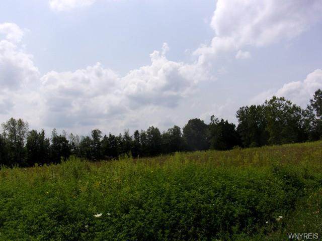 0 S. Manning Road - Photo 1