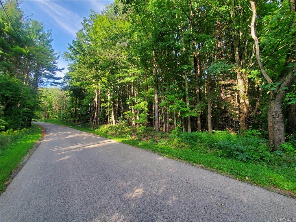 V/L Johnson Road - Photo 1