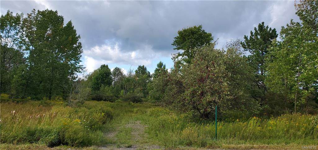 9830 Holland Glnwd Road - Photo 1