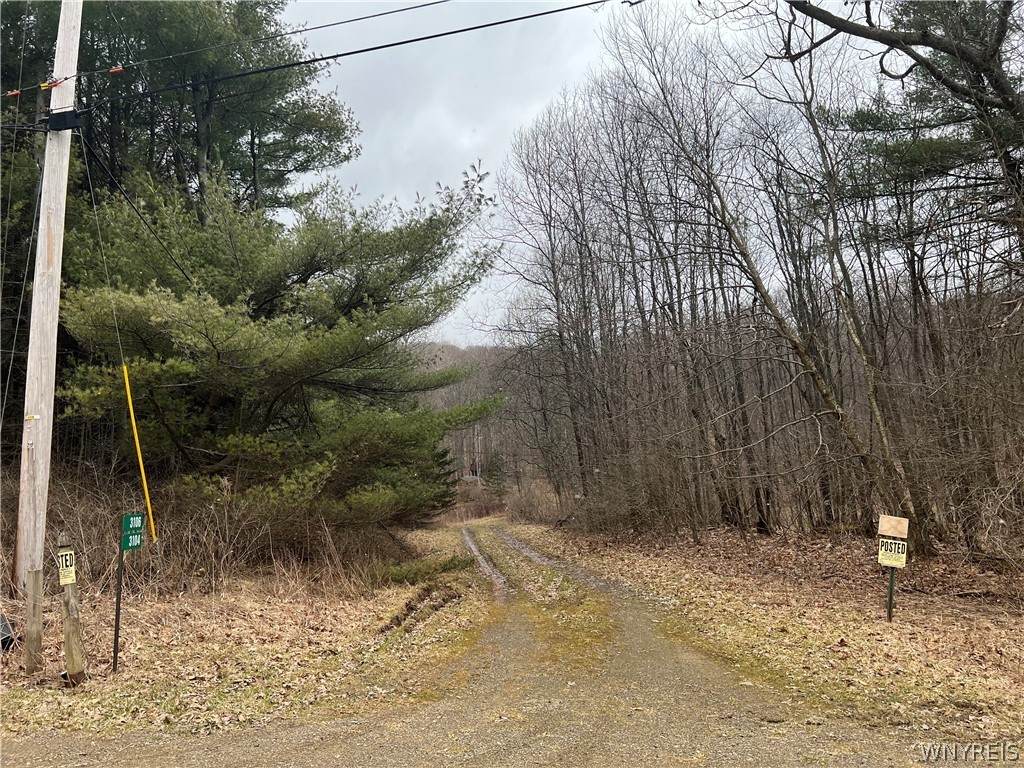 3102 Wolf Creek Road - Photo 1