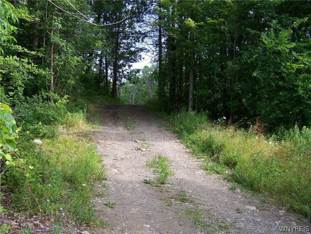 7 acres Holland Glenwood Road - Photo 1