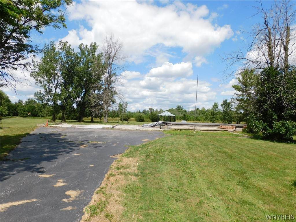 228 Peppermint Road - Photo 1