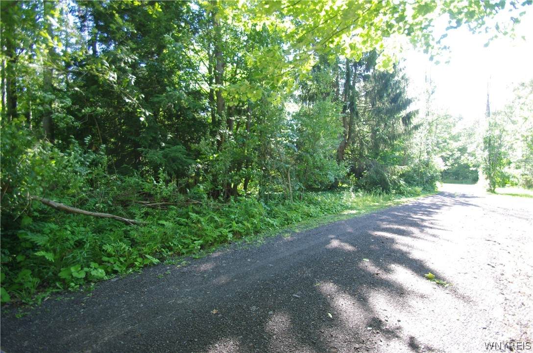 0 Dawn Avenue - Photo 1