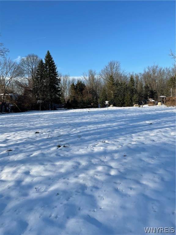 20 Pheasant Run Road - Photo 1