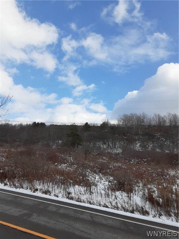 Lot A Nys Route 242 - Photo 1