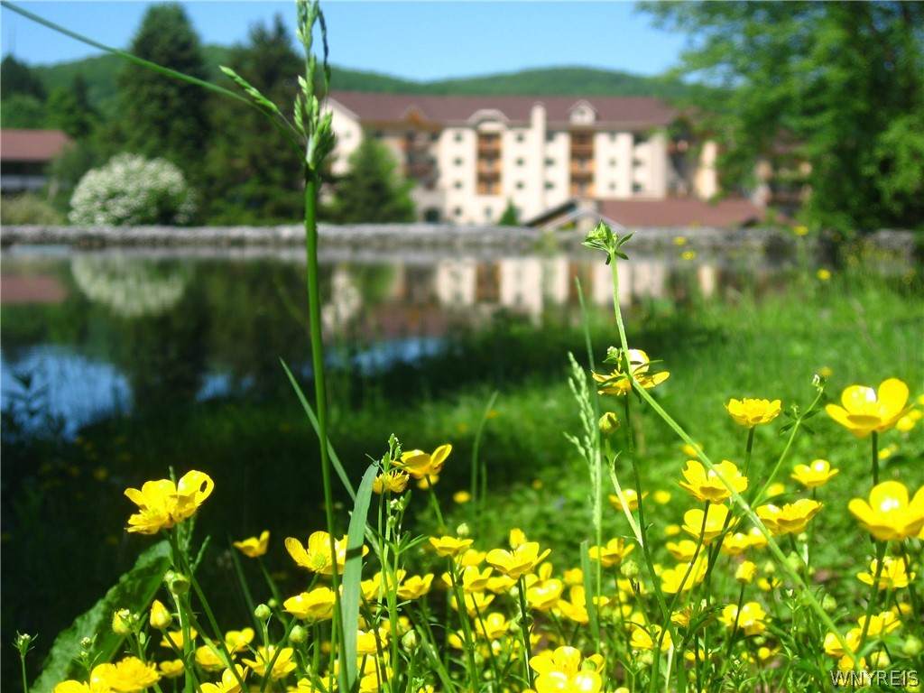 6447 Holiday Valley  Holiday Valley Road - Photo 1