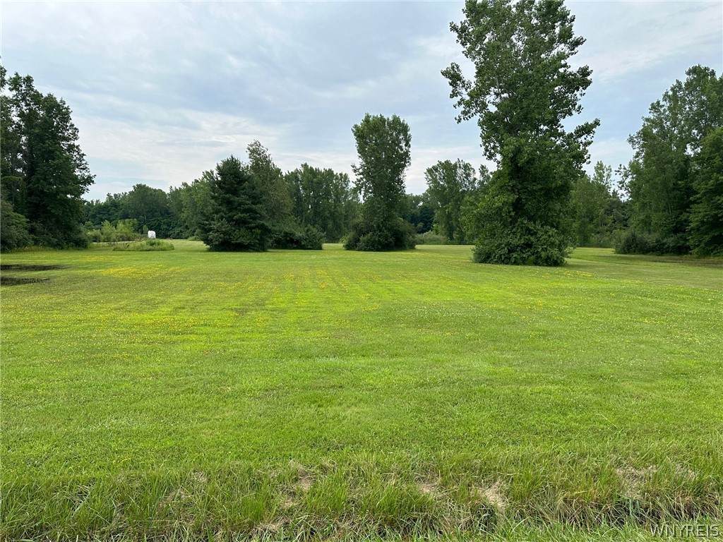 5990 Chestnut - Lot 2 Road - Photo 1