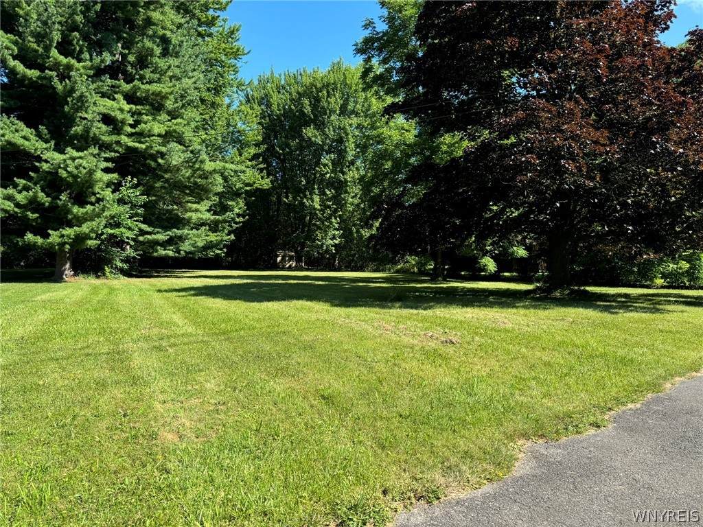 561 Pletcher Road - Photo 1