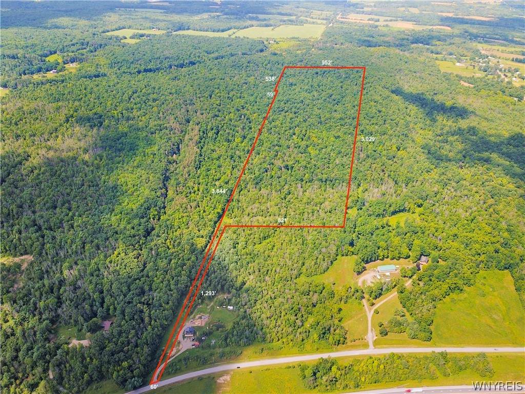 0 Millard Fillmore Road - Photo 1