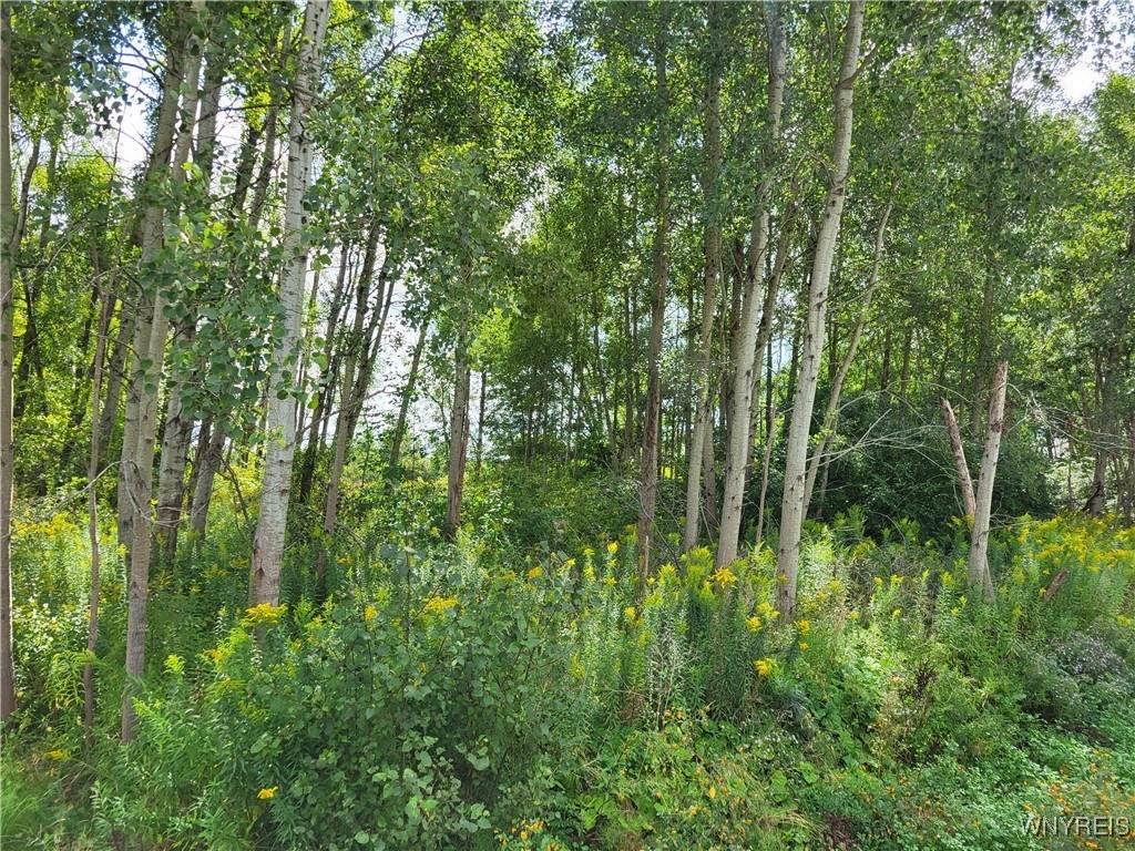 12165 Us-62 - Photo 1