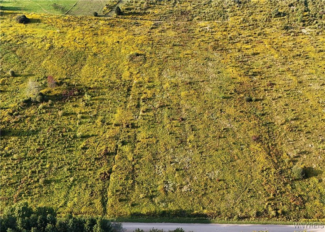 00 Clark Road - Photo 1