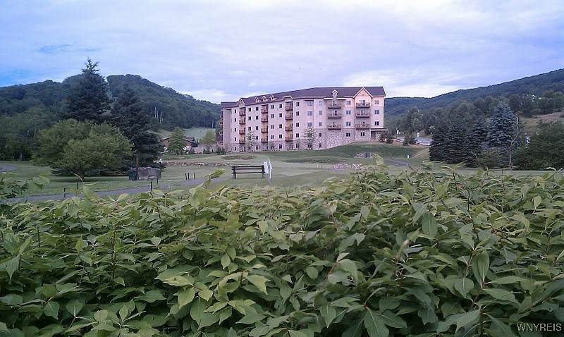 6447 Holiday Valley Road - Photo 1