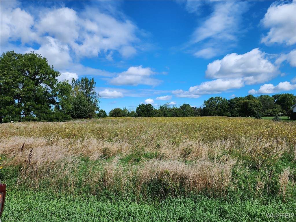 11853 Maple Ridge Road - Photo 1