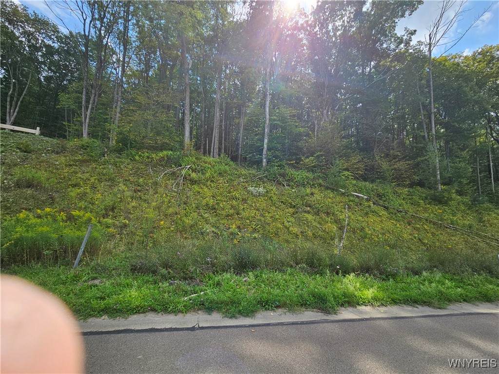 29 Fresh Tracks - Photo 1